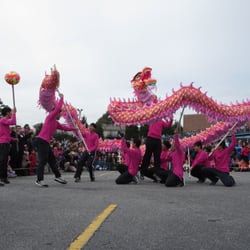 Chinese Culture Center - Dragon dance. Chinese New Year 2014.