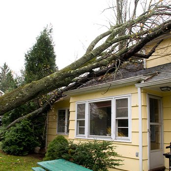 Liberty Restoration - Damage Restoration Near Me - Highland, New York Liberty Restoration - Damage Restoration Near Me - Highland, New York
