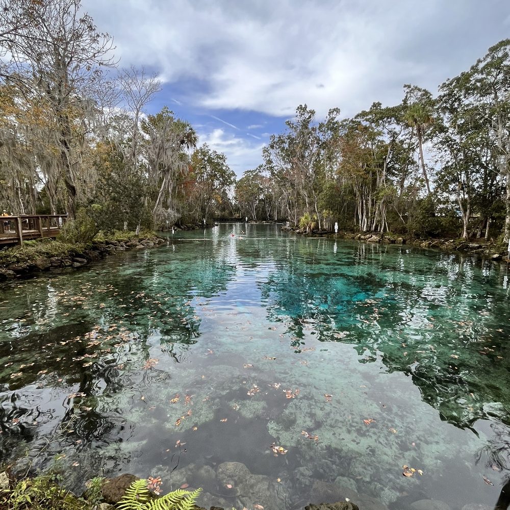 Three Sisters Springs - Tours Near Me - Crystal River, Florida Three Sisters Springs - Tours Near Me - Crystal River, Florida