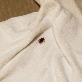 Comfort Suites Redding - Shasta Lake - Really?! - Hotels Near Me - Redding, California