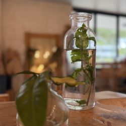 Flora - Infused water