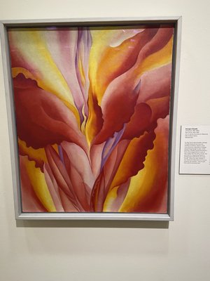 University of Arizona Museum of Art by null