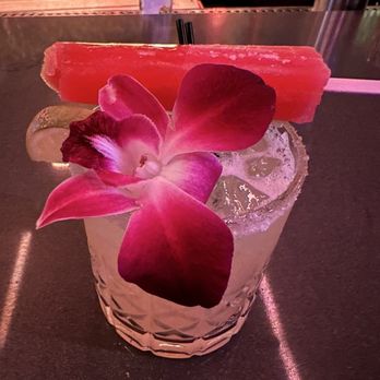Highkey Rainforest Rooftop - Lounges Near Me - New York, New York Highkey Rainforest Rooftop - Lounges Near Me - New York, New York