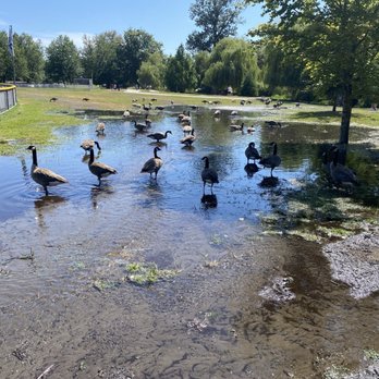 John Hendry Trout Lake Park - Parks Near Me - Vancouver, British Columbia John Hendry Trout Lake Park - Parks Near Me - Vancouver, British Columbia