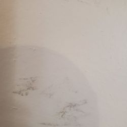 At eye level next to the table. This is the experience, but maybe they'll fix.
