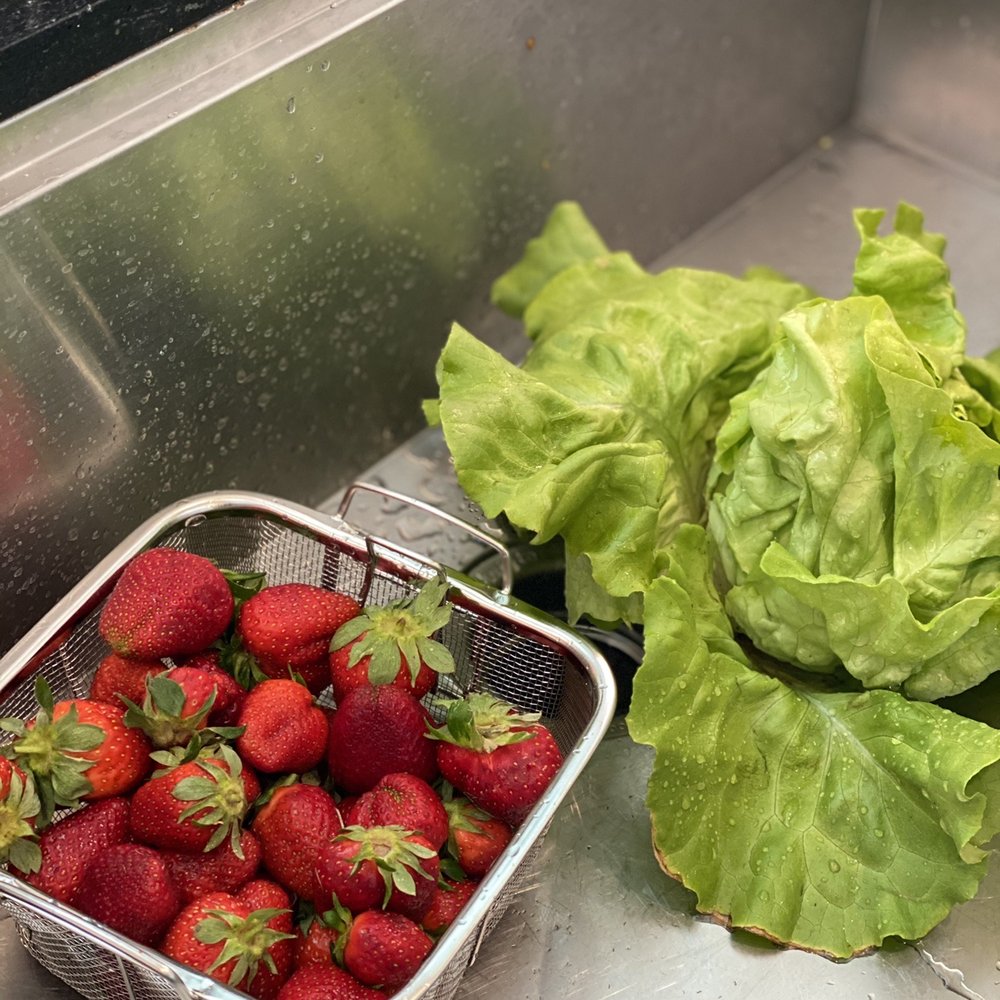 Joe’s Farm - Washing the strawberries and lettuce at home. #nofilter - Farms Near Me - Bixby, Oklahoma Joe’s Farm - Washing the strawberries and lettuce at home. #nofilter - Farms Near Me - Bixby, Oklahoma