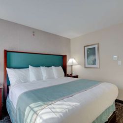 Best Western Hampshire Inn & Suites - King Guest Suite