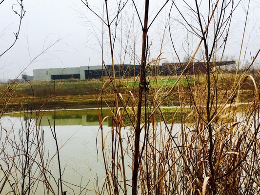 Trinity River Audubon Center by null