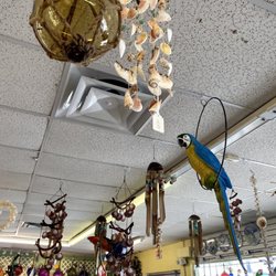 Fat Iguana Artwerx - Decorations to hang up high