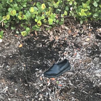 Aster At Lely Resort - I saw this shoe every day for 4 months. Right by the maintenance. - Apartments Near Me - Naples, Florida Aster At Lely Resort - I saw this shoe every day for 4 months. Right by the maintenance. - Apartments Near Me - Naples, Florida