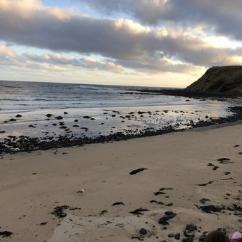 Phillip Island Penguin Parade - Parks Near Me - Summerlands, VIC