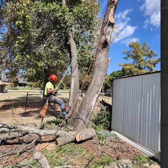 Ramos Tree Service - Tree Services Near Me - Oklahoma City, Oklahoma Ramos Tree Service - Tree Services Near Me - Oklahoma City, Oklahoma