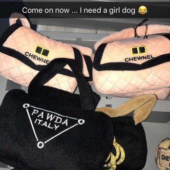 Downtown Dogs - Pet Stores Near Me - Tampa, Florida Downtown Dogs - Pet Stores Near Me - Tampa, Florida