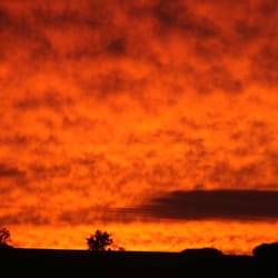 Cobtree Vacation Rental Resort - Beautiful sunsets at Cobtree