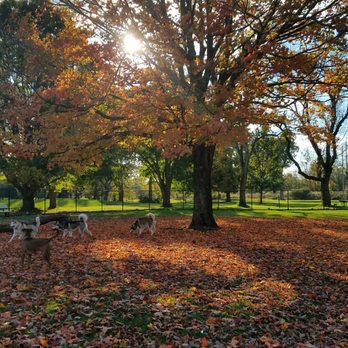 Snyder Park - The Bark park - Parks Near Me - Springfield, Ohio