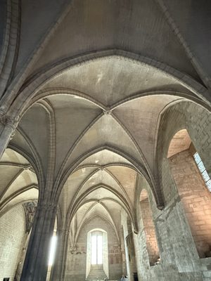 Palais des Papes by null
