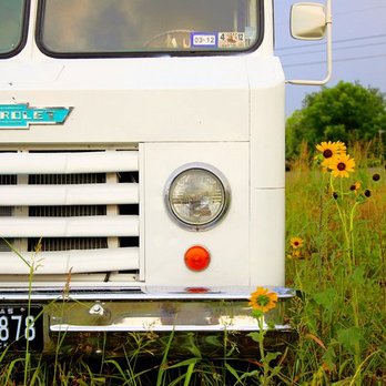 Good Times Austin - an old truck in a field of sunflowers - Food Trucks Near Me Good Times Austin - an old truck in a field of sunflowers - Food Trucks Near Me