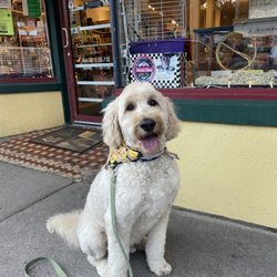 Park Ave Pets