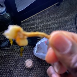 Zip's Drive In - Fries from zips in Spokane valley on sprague