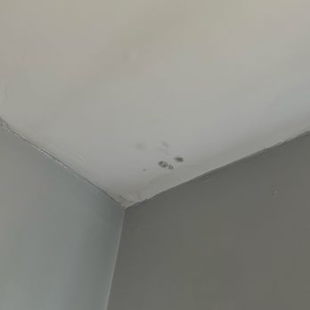 Triple E Realty - mold from water damage - Real Estate Services Near Me - Indianapolis, Indiana Triple E Realty - mold from water damage - Real Estate Services Near Me - Indianapolis, Indiana
