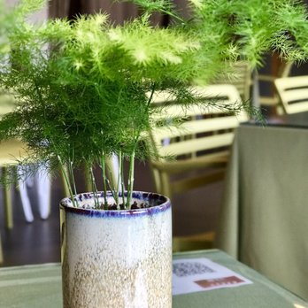 Water Drop Teahouse - Vegetarian Near Me - Stafford, Texas Water Drop Teahouse - Vegetarian Near Me - Stafford, Texas