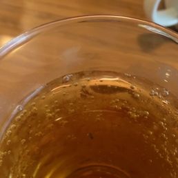 Bug in drink at IHOP - A photograph shows a clear glass filled with beer, with a bug floating inside the liquid. The glass is placed on a wooden table, with a white cup and other items visible in the background. The image captures the bug clearly, highlighting the presence of an insect in the drink.