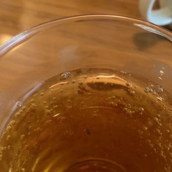 IHOP - Bug in drink at IHOP - A photograph shows a clear glass filled with beer, with a bug floating inside the liquid. The glass is placed on a wooden table, with a white cup and other items visible in the background. The image captures the bug clearly, highlighting the presence of an insect in the drink. - Breakfast & Brunch Near Me - ST. CLOUD, Florida