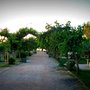 Photo of İnciraltı Kent Ormanı