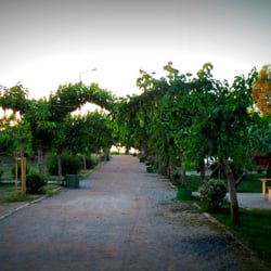 İnciraltı Kent Ormanı - İzmir Kent Ormanı Toprak Yol