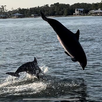 Cruisin4Christ - Dolphins - Boat Charters Near Me - Elberta, Alabama Cruisin4Christ - Dolphins - Boat Charters Near Me - Elberta, Alabama