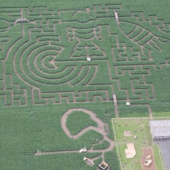 Gregory's Farm - Picture from www.gregorysfarm.co.uk - Active Life Near Me - Birkenhead, XMS