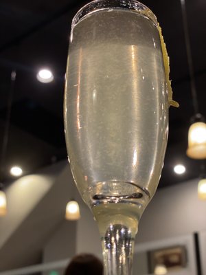 The Passenger by null