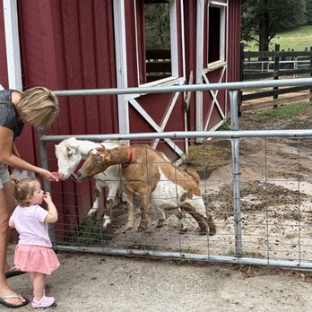 The Art Barn - Kids Activities Near Me - Canton, Georgia The Art Barn - Kids Activities Near Me - Canton, Georgia
