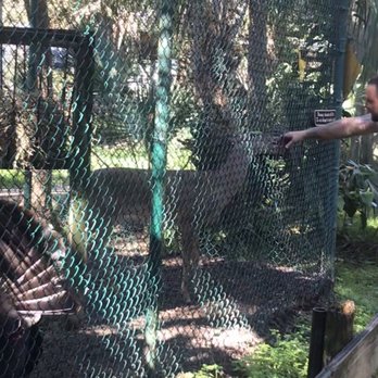 Busch Wildlife Sanctuary - Zoos Near Me - Jupiter, Florida