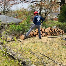 Dele's Tree Service