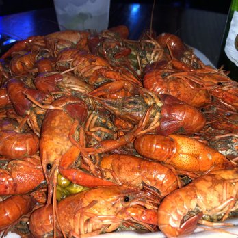 Three Legged Dog - Bars Near Me - New Orleans, Louisiana Three Legged Dog - Bars Near Me - New Orleans, Louisiana