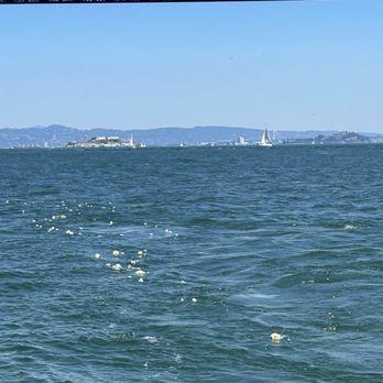 Marin Memorial Services - Boat Charters Near Me - Sausalito, California