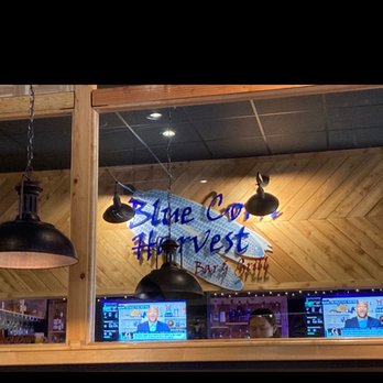 Blue Corn Harvest Bar and Grill - Mexican Near Me - Leander, Texas Blue Corn Harvest Bar and Grill - Mexican Near Me - Leander, Texas