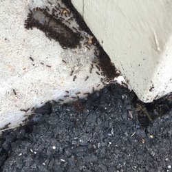 Marriott Termite and Pest Control