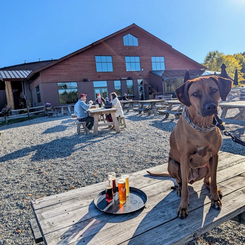 Von Trapp Brewing Bierhall Restaurant - Outside seating - Austrian Near Me - Stowe, Vermont