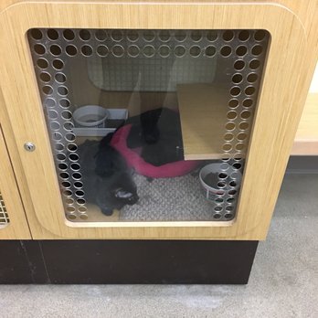 Petco - Pet Stores Near Me - Arlington Heights, Illinois