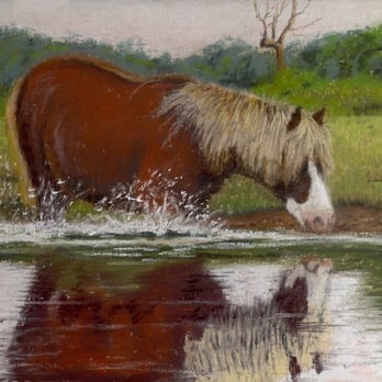 Tryfan Gallery - Great selection of Pony Pastels and Watercolors - Art Galleries Near Me - Chincoteague, Virginia Tryfan Gallery - Great selection of Pony Pastels and Watercolors - Art Galleries Near Me - Chincoteague, Virginia