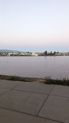 Lake Merritt by null