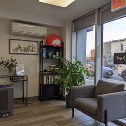 1311 Jackson Ave Dental - Dental reception area with our thriving money tree.