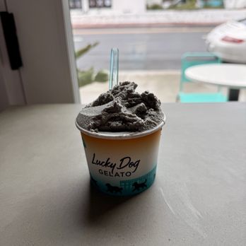 Lucky Dog Gelato - Ice Cream & Frozen Yogurt Near Me - San Clemente, California Lucky Dog Gelato - Ice Cream & Frozen Yogurt Near Me - San Clemente, California