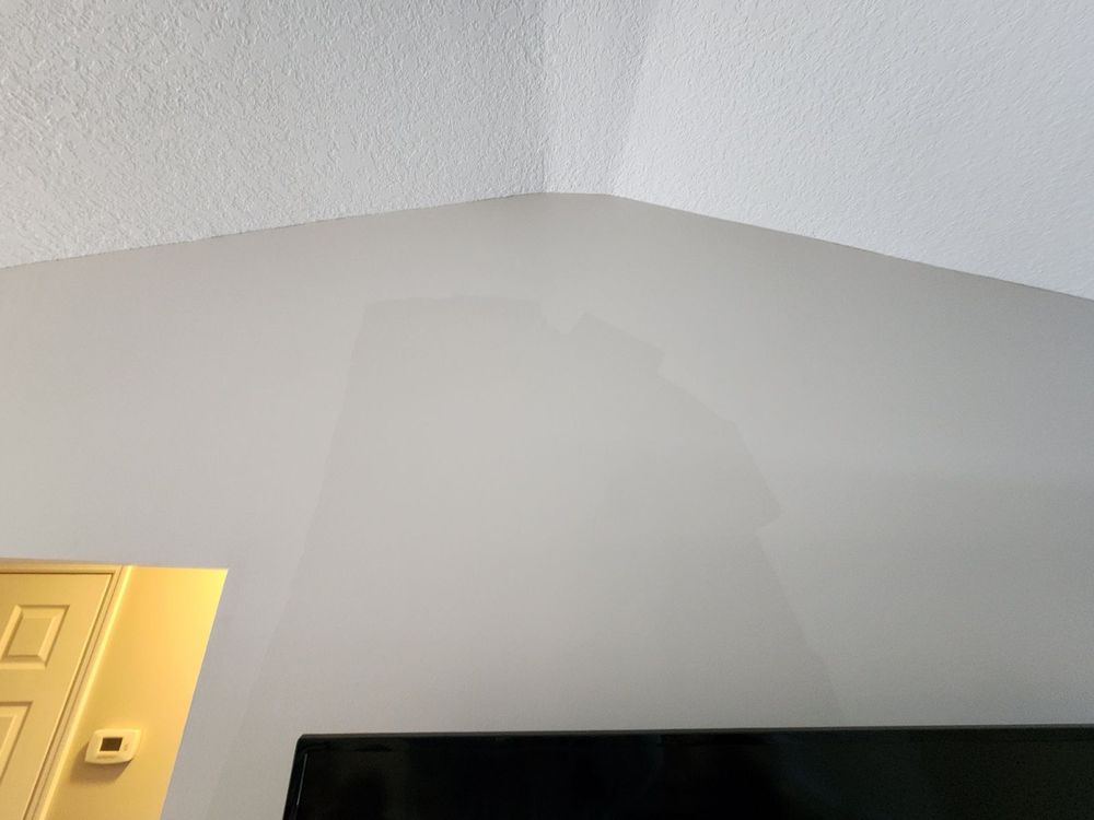 Slide of House Finch