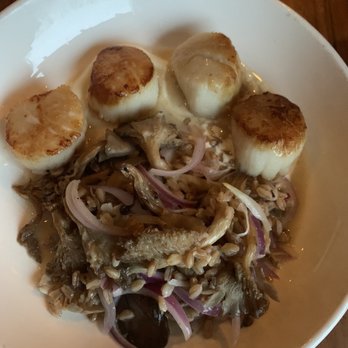 Kindred Fare - Scallops over mashed cauliflower (special) - New American Near Me - Geneva, New York