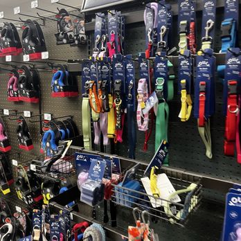 Petco - Dog leashes - Pet Stores Near Me - La Mesa, California Petco - Dog leashes - Pet Stores Near Me - La Mesa, California