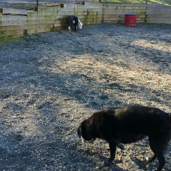Langdon Dog Park - Big park for dogs to have fun. - Dog Parks Near Me - Washington, DC, District of Columbia