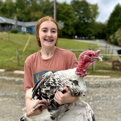 Buffalo Creek Farm and Creamery